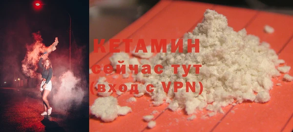 шишки Горно-Алтайск