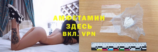 шишки Горно-Алтайск