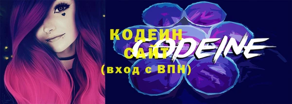 мдпв Горнозаводск