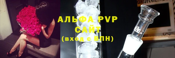 стаф Горняк
