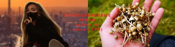 мдпв Горнозаводск