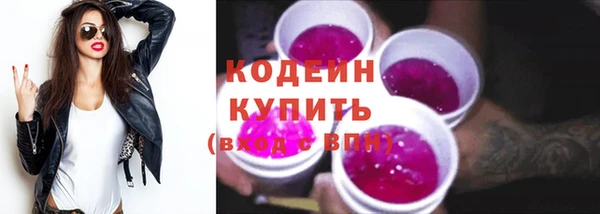 шишки Горно-Алтайск