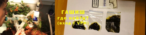 стаф Горняк