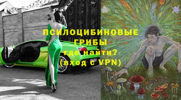 стаф Горняк