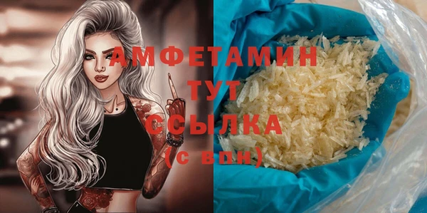 стаф Горняк