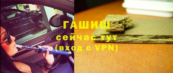 шишки Горно-Алтайск