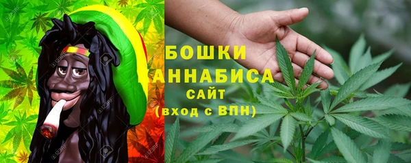 шишки Горно-Алтайск
