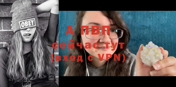 стаф Горняк