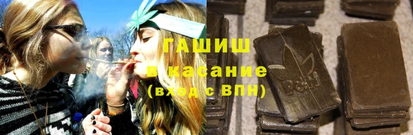 шишки Горно-Алтайск