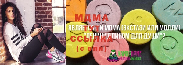 шишки Горно-Алтайск