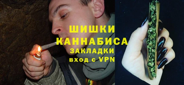 стаф Горняк