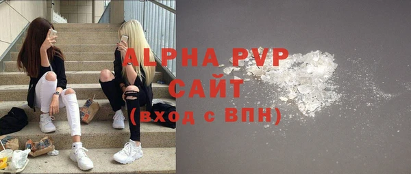 шишки Горно-Алтайск
