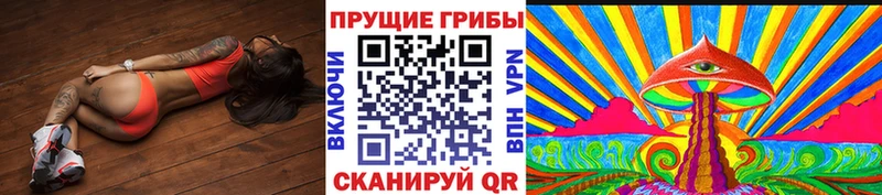 Галлюциногенные грибы прущие грибы где купить наркоту Гусиноозёрск